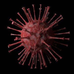 coronavirus virus 3D model