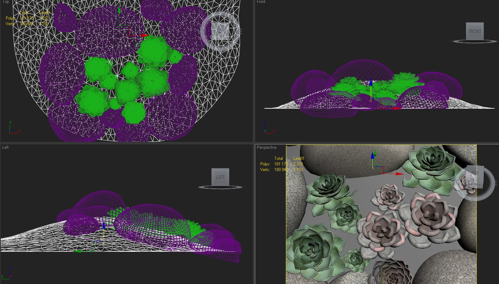 3d Cactus Landscape Design