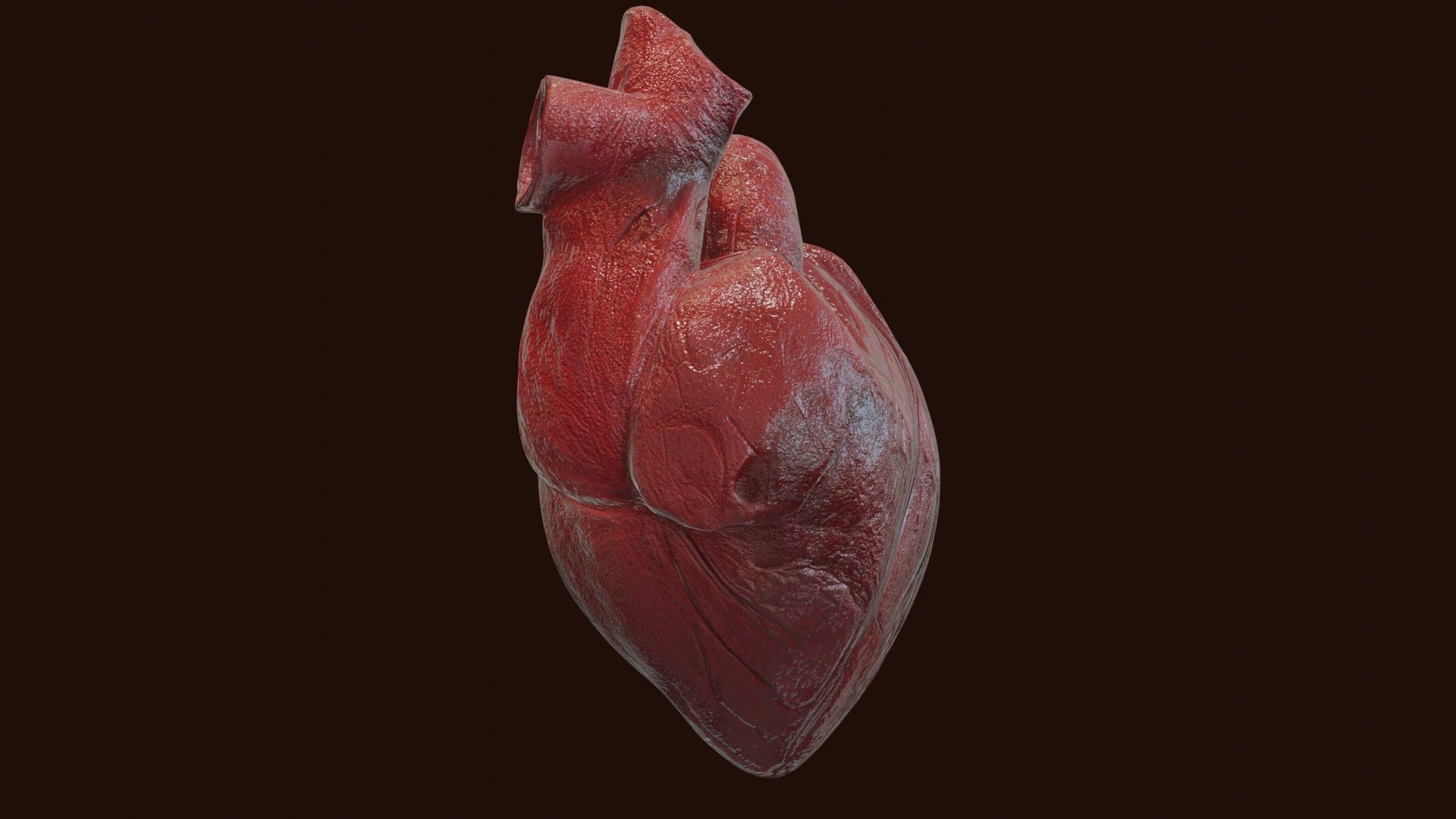 3D Realistic Animated Human Heart 3D Model https://p.turbosquid.com/ts-thumb/FX/nSzu25/Vy/0002/jpg/1768273609/1920x1080/fit_q87/868933e4b559fa5ca19a0f35a8cefaa886c0a7f5/0002.jpg