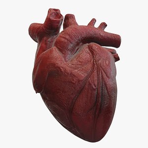 3D Realistic Animated Human Heart 3D Model