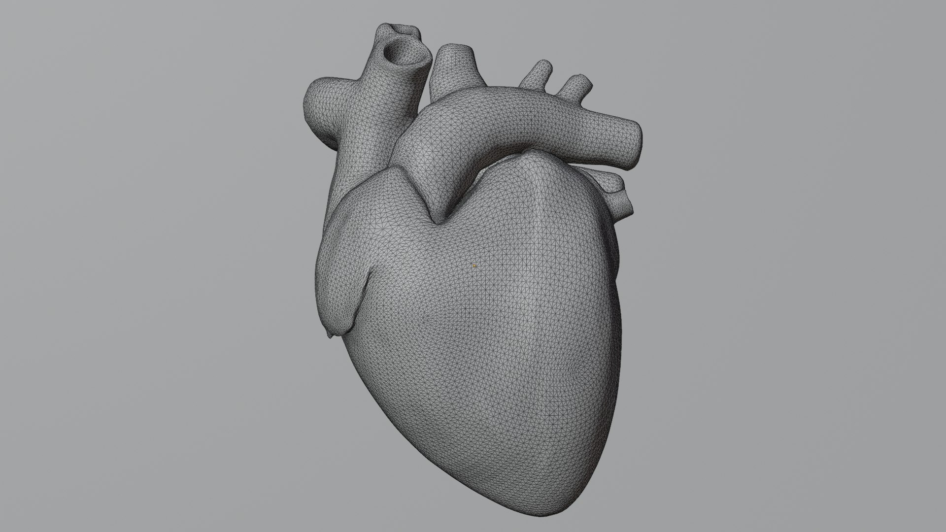 3D Realistic Animated Human Heart 3D Model https://p.turbosquid.com/ts-thumb/FX/nSzu25/tb/wire/jpg/1768273805/1920x1080/fit_q87/e5d6a795711cec7c40cf3604e01403b59c6f8e2e/wire.jpg