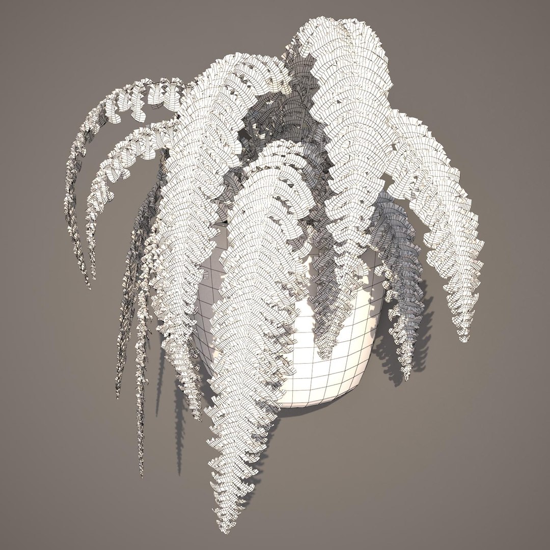 nephrolepis plant hanging pot 3d max https://p.turbosquid.com/ts-thumb/FX/qd13YV/7zC4zrKn/nephrolepis4wireframe/jpg/1404255477/1920x1080/fit_q87/d833bcce226c4b947706e7faf4933d0504c255b6/nephrolepis4wireframe.jpg