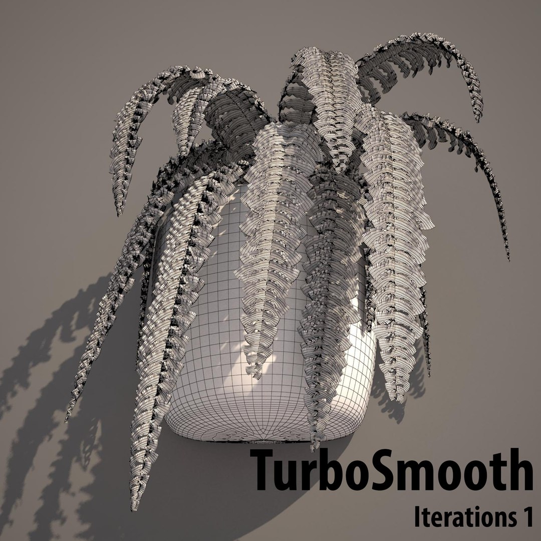 nephrolepis plant hanging pot 3d max https://p.turbosquid.com/ts-thumb/FX/qd13YV/AC6z0pHh/nephrolepis3wireframeturbosmootht/jpg/1404255477/1920x1080/fit_q87/6206bd51a0874bd6e3ec59e2d9f4ca01d198cc51/nephrolepis3wireframeturbosmootht.jpg