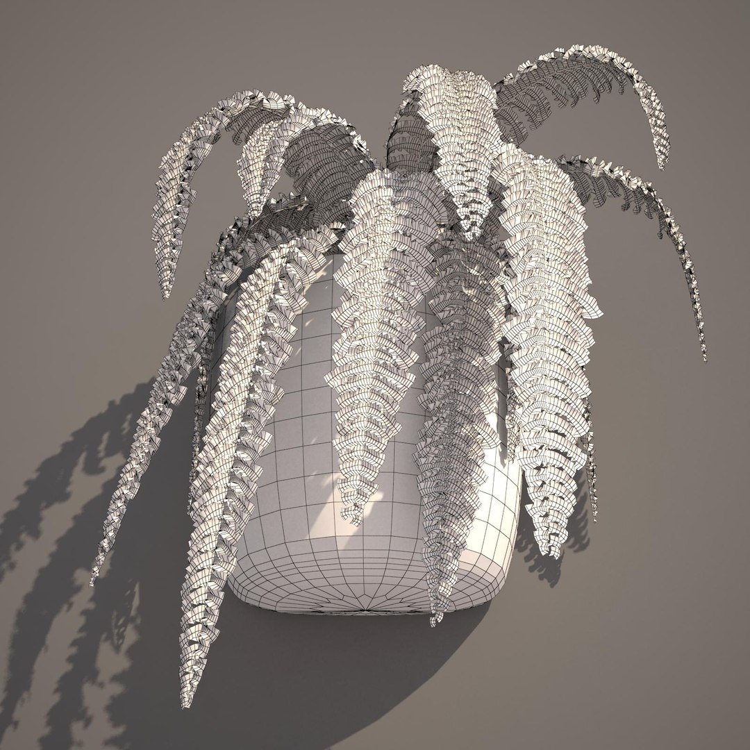 nephrolepis plant hanging pot 3d max https://p.turbosquid.com/ts-thumb/FX/qd13YV/OI37JIh6/nephrolepis3wireframe/jpg/1404255477/1920x1080/fit_q87/ea1dbf8808e71e3c3bc506006144a7fcfdb53729/nephrolepis3wireframe.jpg