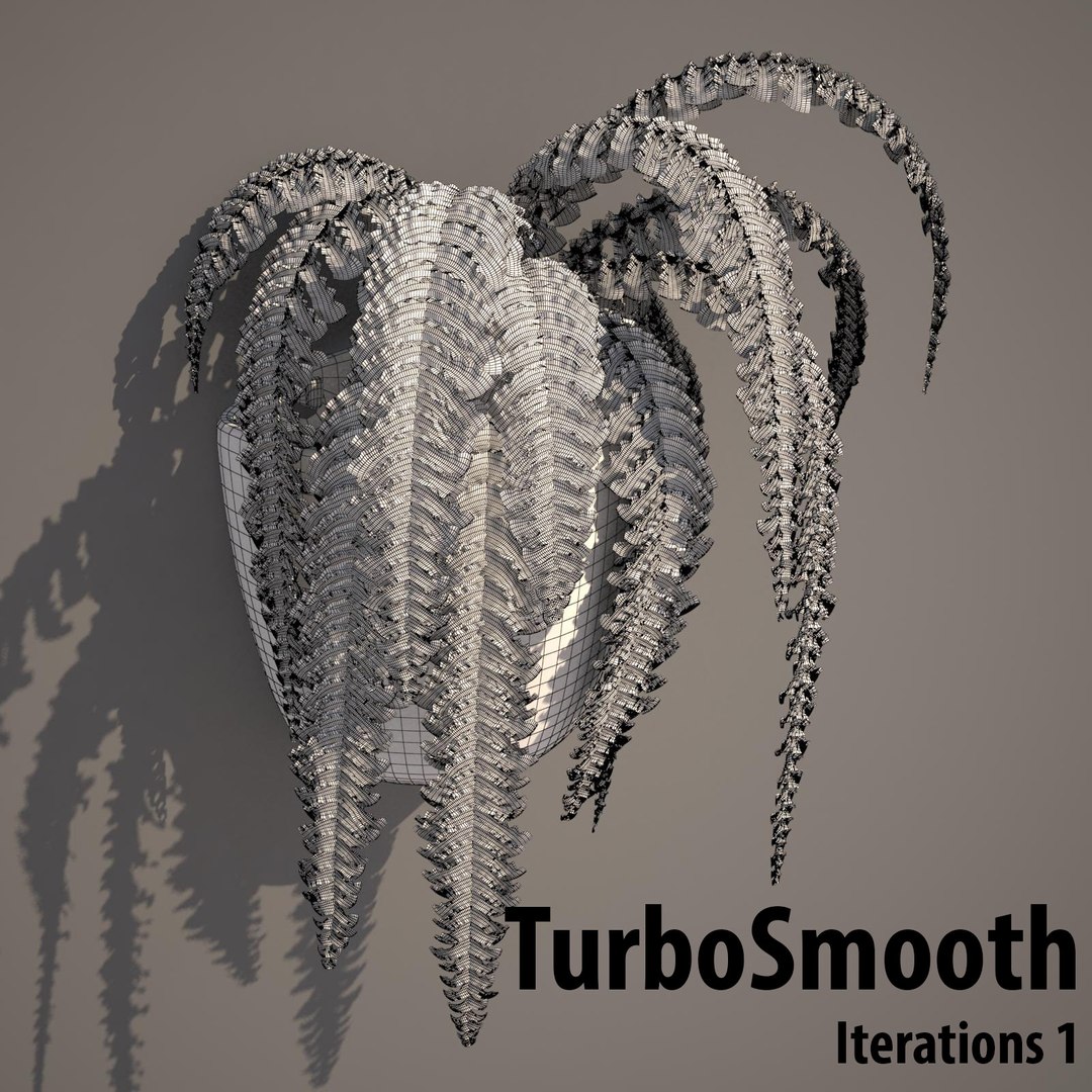 nephrolepis plant hanging pot 3d max https://p.turbosquid.com/ts-thumb/FX/qd13YV/Ze4MzZTI/nephrolepis2wireframeturbosmootht/jpg/1404255477/1920x1080/fit_q87/ef1aeb7c4c7b6a8b3711e7bef0de87a5ec5fd2df/nephrolepis2wireframeturbosmootht.jpg