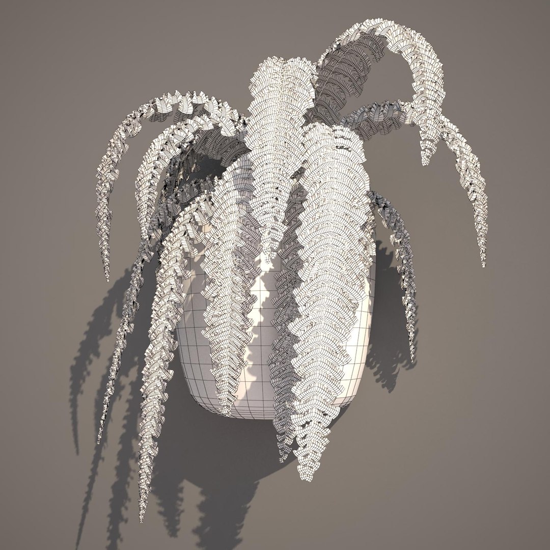 nephrolepis plant hanging pot 3d max https://p.turbosquid.com/ts-thumb/FX/qd13YV/bJRO96V6/nephrolepis1wireframe/jpg/1404255477/1920x1080/fit_q87/dfb8b23bec9364294c5eb114c4d881a850905e3e/nephrolepis1wireframe.jpg