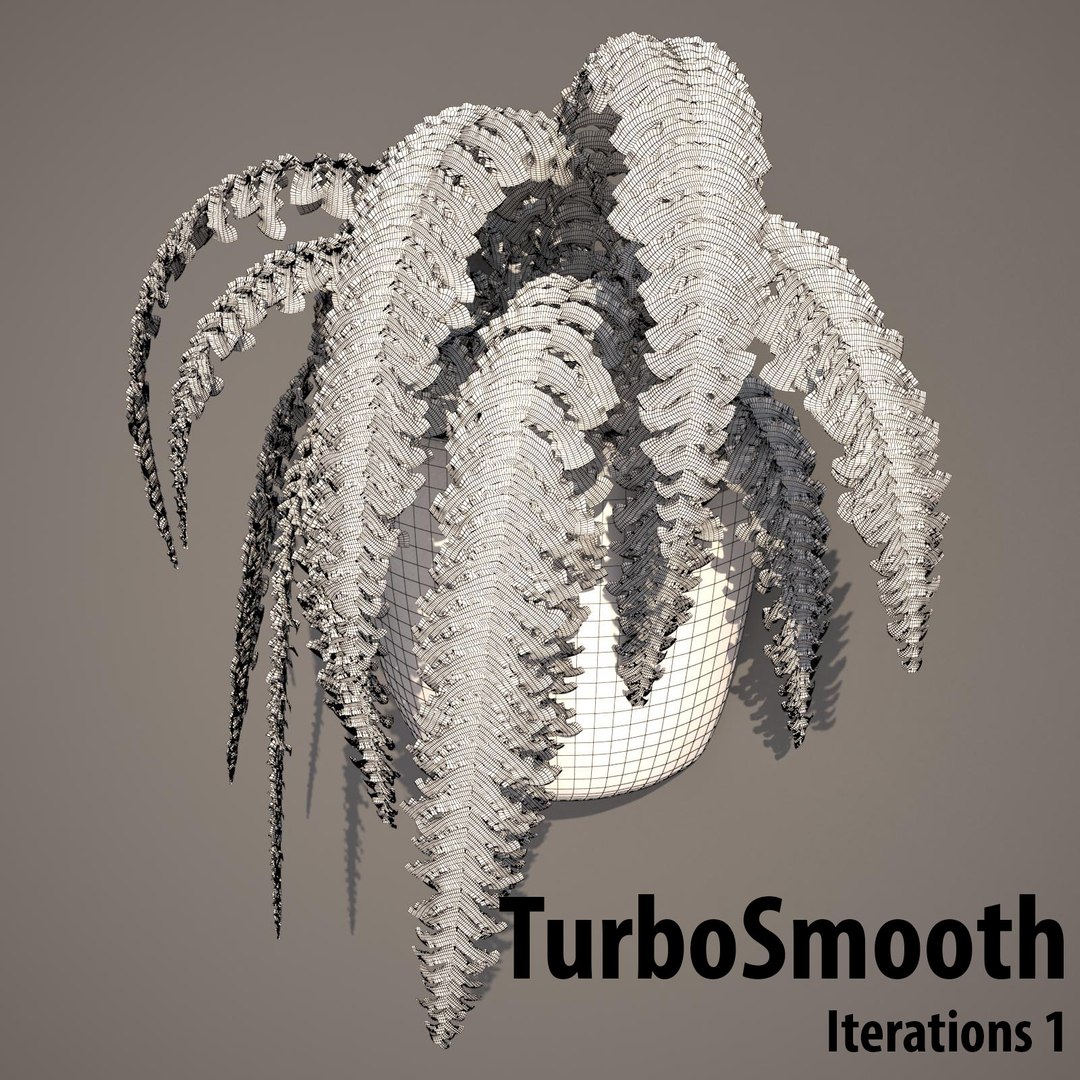 nephrolepis plant hanging pot 3d max https://p.turbosquid.com/ts-thumb/FX/qd13YV/uL2Db8Eu/nephrolepis4wireframeturbosmootht/jpg/1404255477/1920x1080/fit_q87/ea73a43057e23dbb187ce4ff20f28a8250a75640/nephrolepis4wireframeturbosmootht.jpg