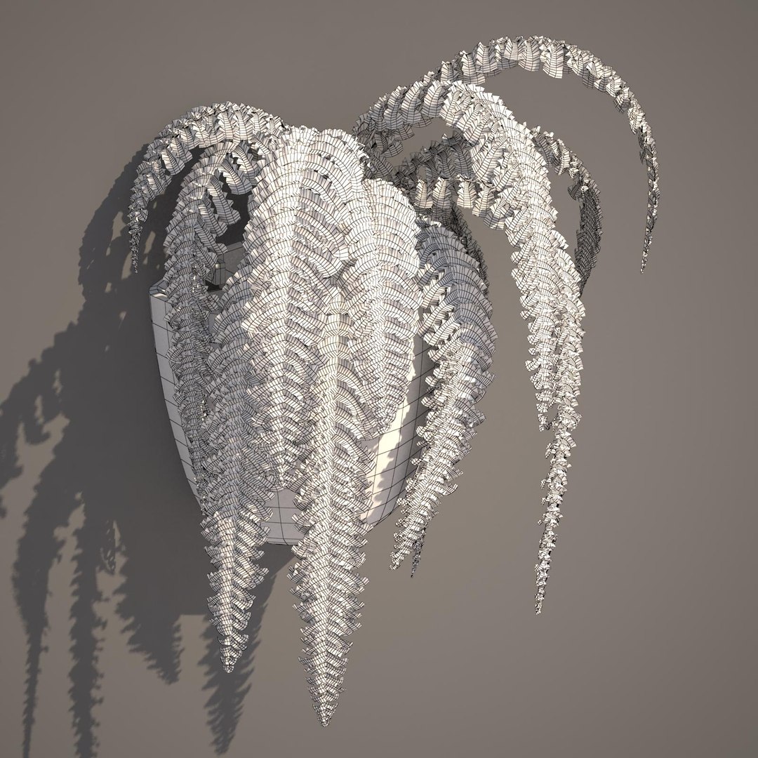 nephrolepis plant hanging pot 3d max https://p.turbosquid.com/ts-thumb/FX/qd13YV/wX4UD5Kc/nephrolepis2wireframe/jpg/1404255477/1920x1080/fit_q87/5f43df430da71570898a31a70a7bb96e043edb38/nephrolepis2wireframe.jpg