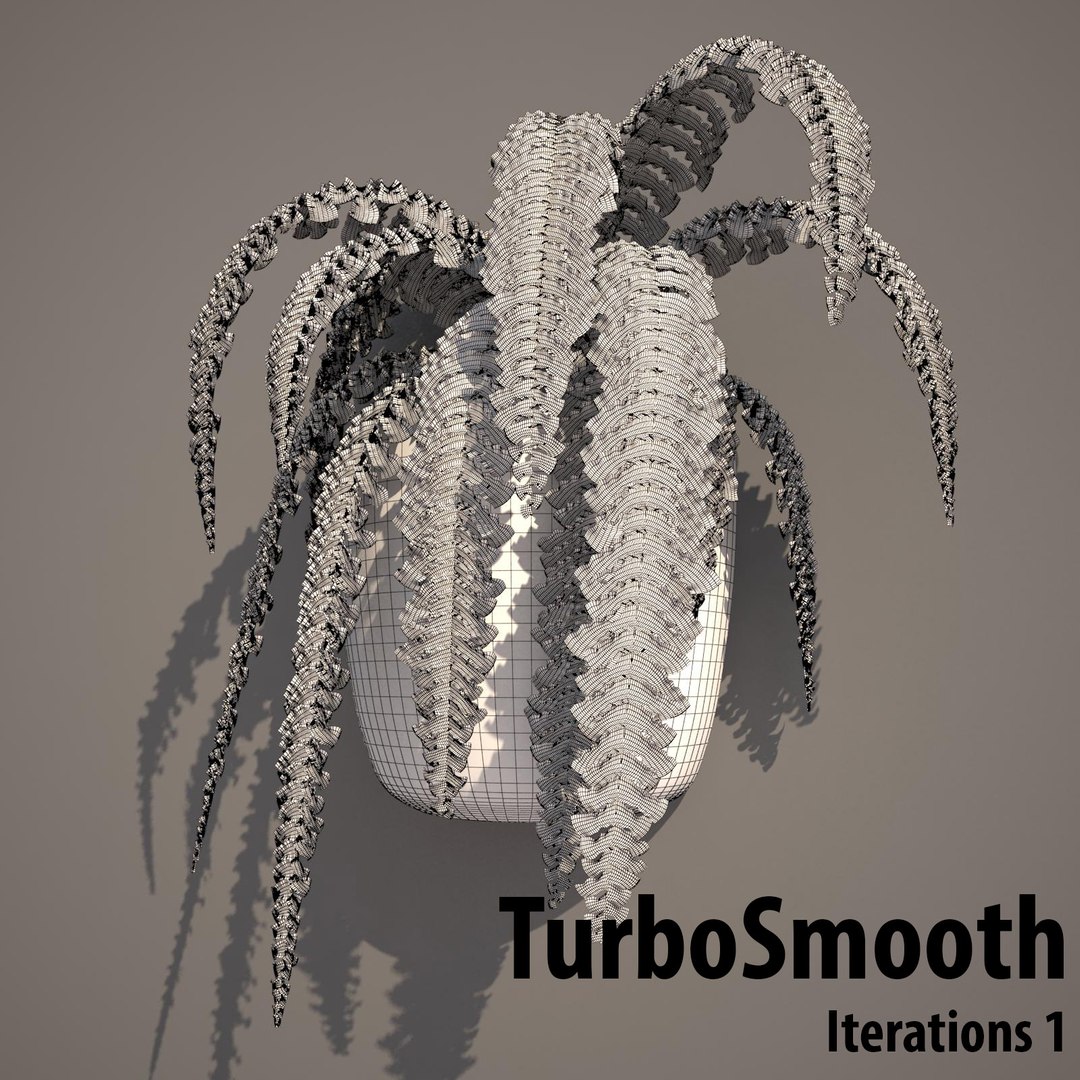 nephrolepis plant hanging pot 3d max https://p.turbosquid.com/ts-thumb/FX/qd13YV/wmFP48eb/nephrolepis1wireframeturbosmootht/jpg/1404255477/1920x1080/fit_q87/34491743aa43bba8440f3a8c143faf9dd9e3287a/nephrolepis1wireframeturbosmootht.jpg