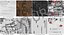 空中客车A350-800美国航空公司