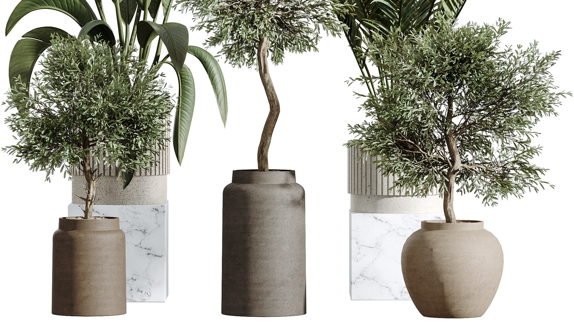 3D model AV Indoor Plants Set 276 Olive Elegant Mission and Banana Strelitzia Nicolai and Areca Palm https://p.turbosquid.com/ts-thumb/FY/Nebq0M/55/06/png/1753771968/1920x1080/fit_q87/c22cbc9f489aa12a44d92f567d63ca49d05e21d8/06.jpg