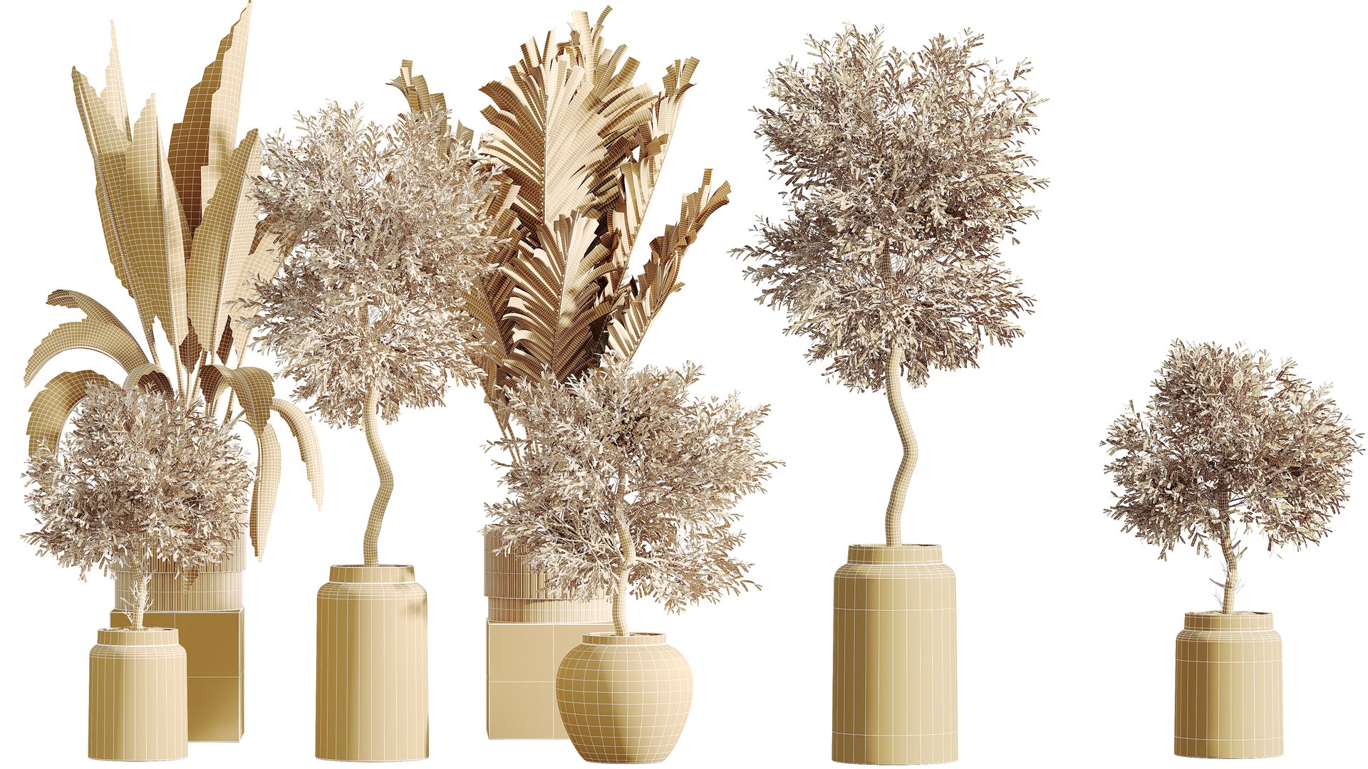 3D model AV Indoor Plants Set 276 Olive Elegant Mission and Banana Strelitzia Nicolai and Areca Palm https://p.turbosquid.com/ts-thumb/FY/Nebq0M/8F/07/png/1753771968/1920x1080/fit_q87/f3a4a6e9fb030afc732f5beb1568d38872a79e8c/07.jpg