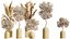 AV Zimmerpflanzen Set 276 Olive Elegant Mission und Banane Strelitzia Nicolai und Areca Palme