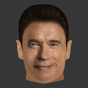 Arnold Schwarzenegger Head - Low poly head for game model