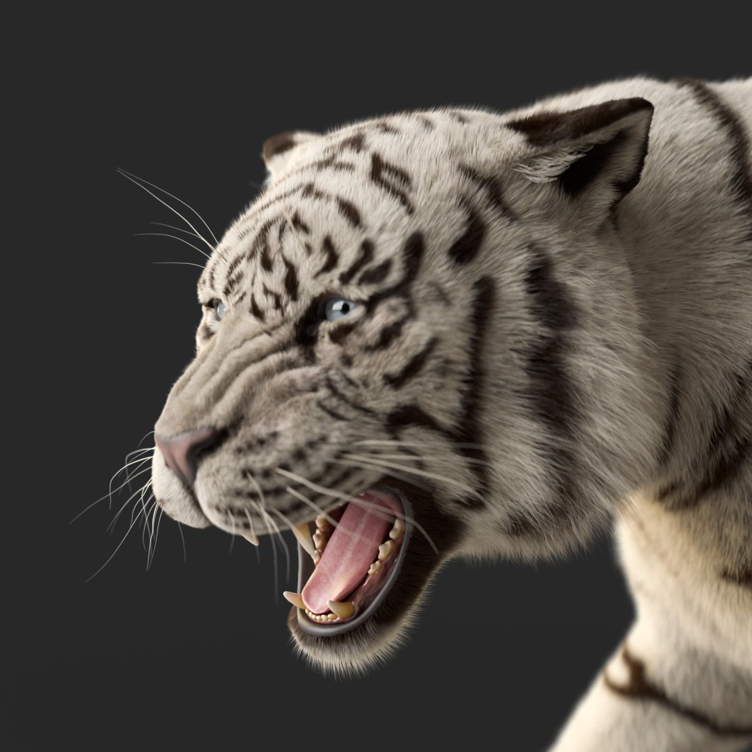 Tiger Rigged Animated 3D Model - TurboSquid 2382590