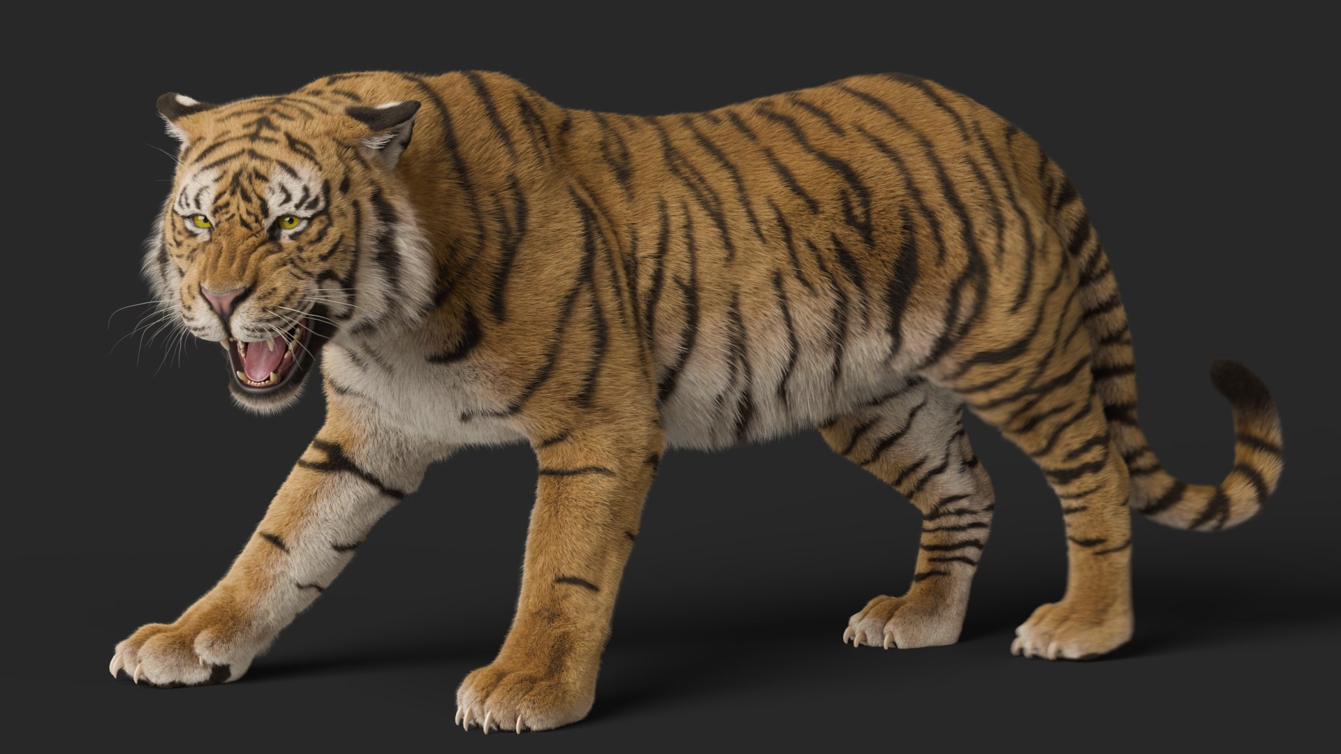 Tiger Rigged Animated 3D Model - TurboSquid 2382590