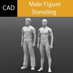 3d model cad male standing