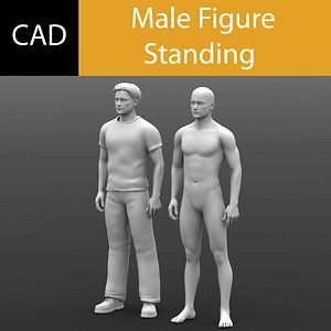 Solidworks CAD Human Male