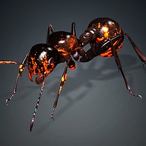 Ant-A2 3D model
