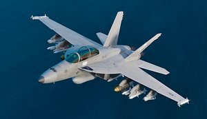 F18F Super Hornet - with Cocpit - Changeable decal and text