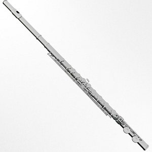 3D model flute