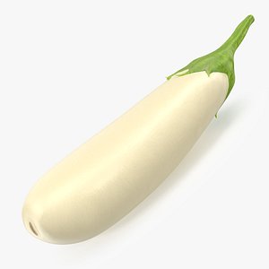White Eggplant Aubergine