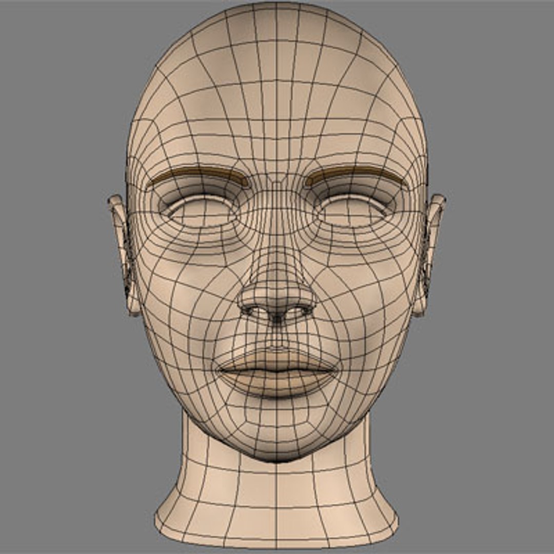 Female Head 3d Model