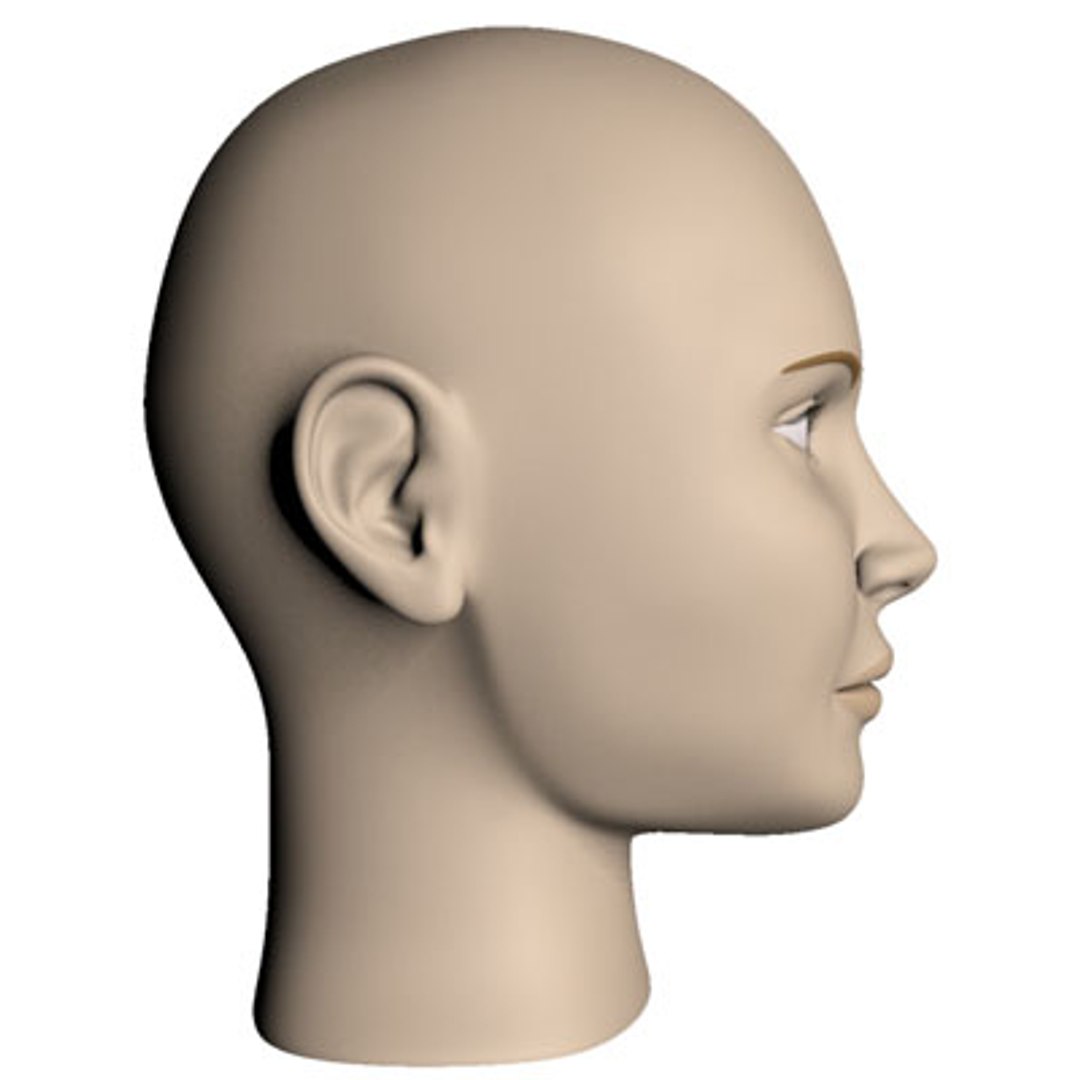 female head 3d model https://p.turbosquid.com/ts-thumb/FZ/HXXS9y/CR7AImlx/render3/jpg/1100198607/1920x1080/fit_q87/52e387efb8e3df073c194b479a0f15acfcda3706/render3.jpg