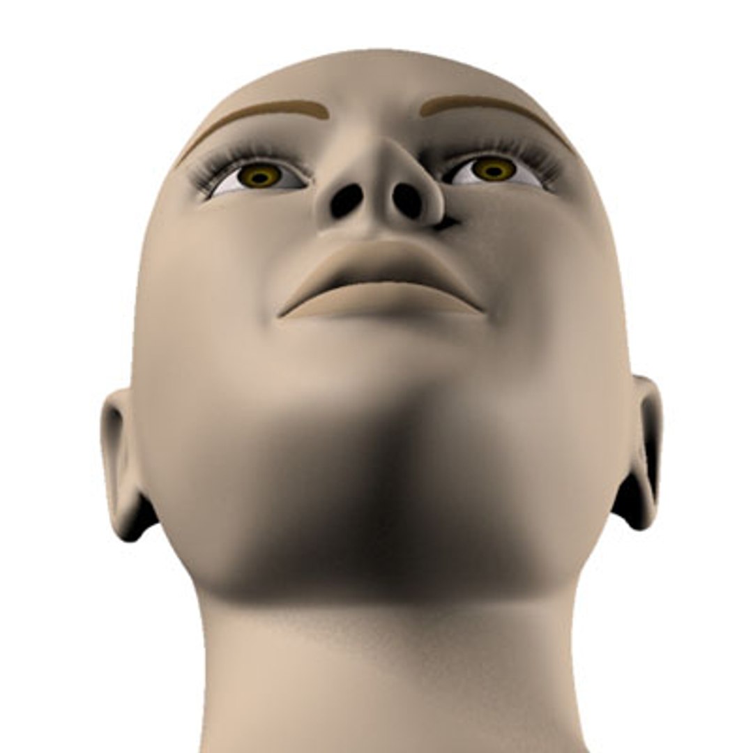 Female Head 3d Model