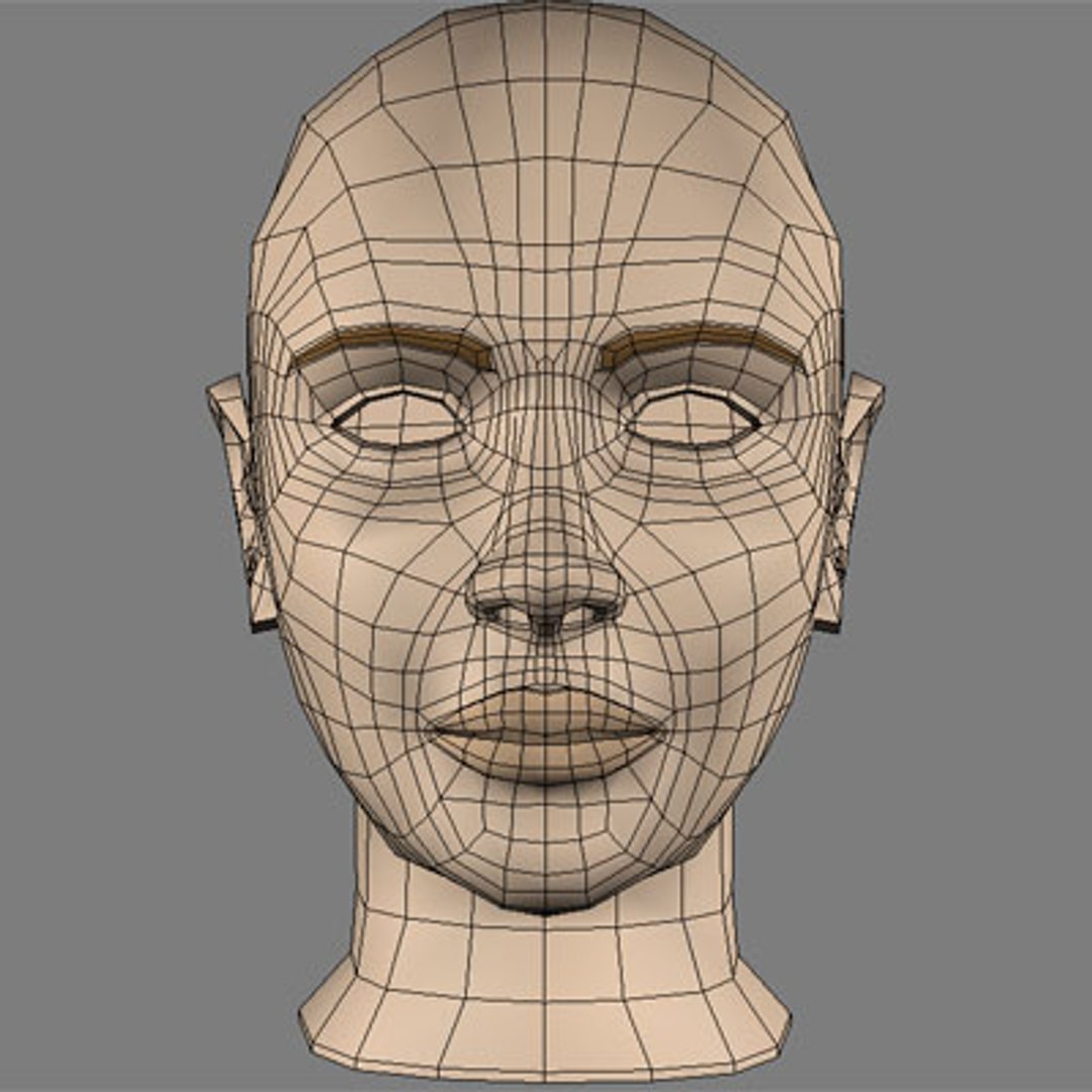 female head 3d model https://p.turbosquid.com/ts-thumb/FZ/HXXS9y/N6AYU0aj/render8/jpg/1100198618/1920x1080/fit_q87/9ec714edb69ec74e2705f98fea4b823e48d30699/render8.jpg