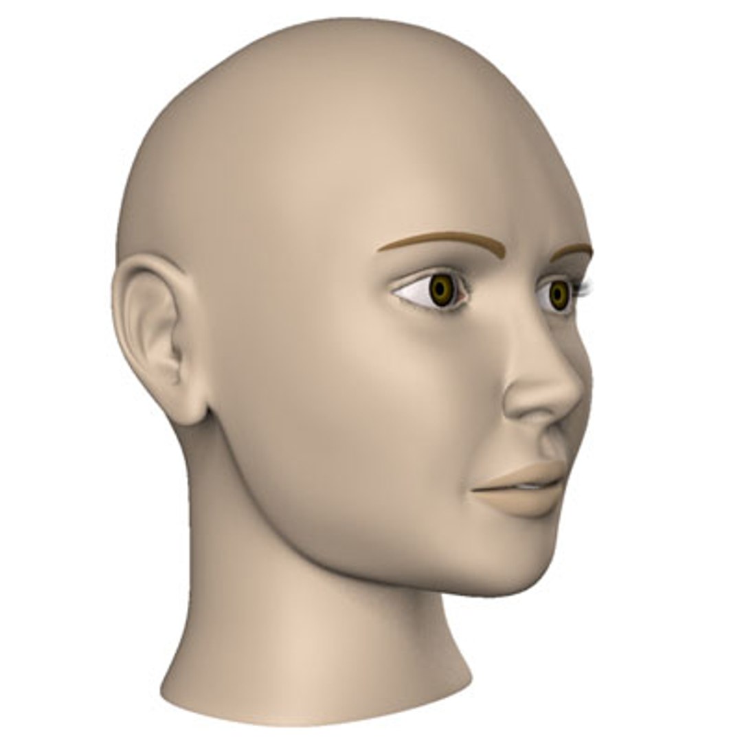 female head 3d model https://p.turbosquid.com/ts-thumb/FZ/HXXS9y/RRNeNZ04/render2/jpg/1100198605/1920x1080/fit_q87/11690a2ccba3ecb5579bcf365b556b91c1d30e8e/render2.jpg