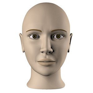 head