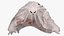 Evil Ghost Bedsheet