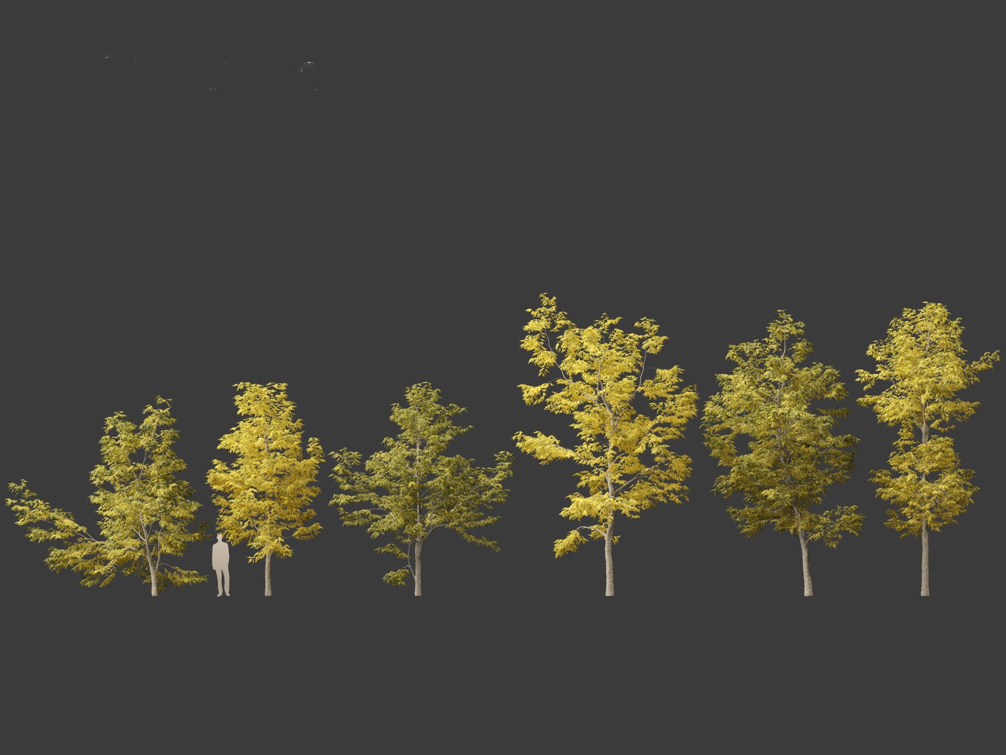 Robinia pseudoacacia - Black locust 03 3D model https://p.turbosquid.com/ts-thumb/FZ/J34QtG/Yc/robiniapseudoacacia032/jpg/1696776989/1920x1080/fit_q87/8fab57a32827d6351bd0432f3934379e3f0007b3/robiniapseudoacacia032.jpg