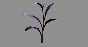 plant ornamental model