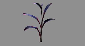 Ornamental Plant