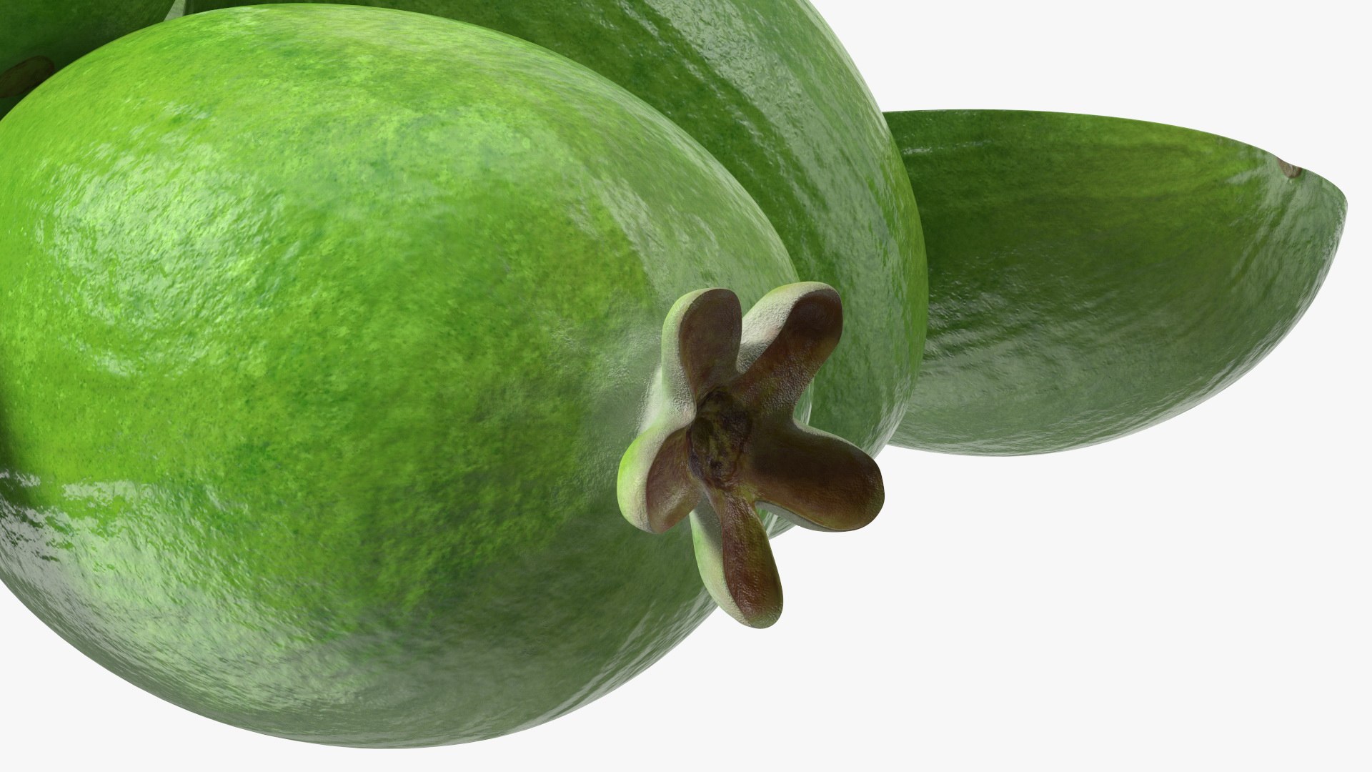 3D Heap Feijoa Fruit https://p.turbosquid.com/ts-thumb/FZ/PsOqwz/in/heapfeijoafruitvray3dmodel014/jpg/1641773741/1920x1080/fit_q87/320a7fa715d22a45826966e83c4d2602091932ab/heapfeijoafruitvray3dmodel014.jpg