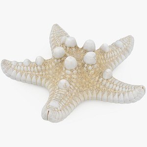 Sea Star 2