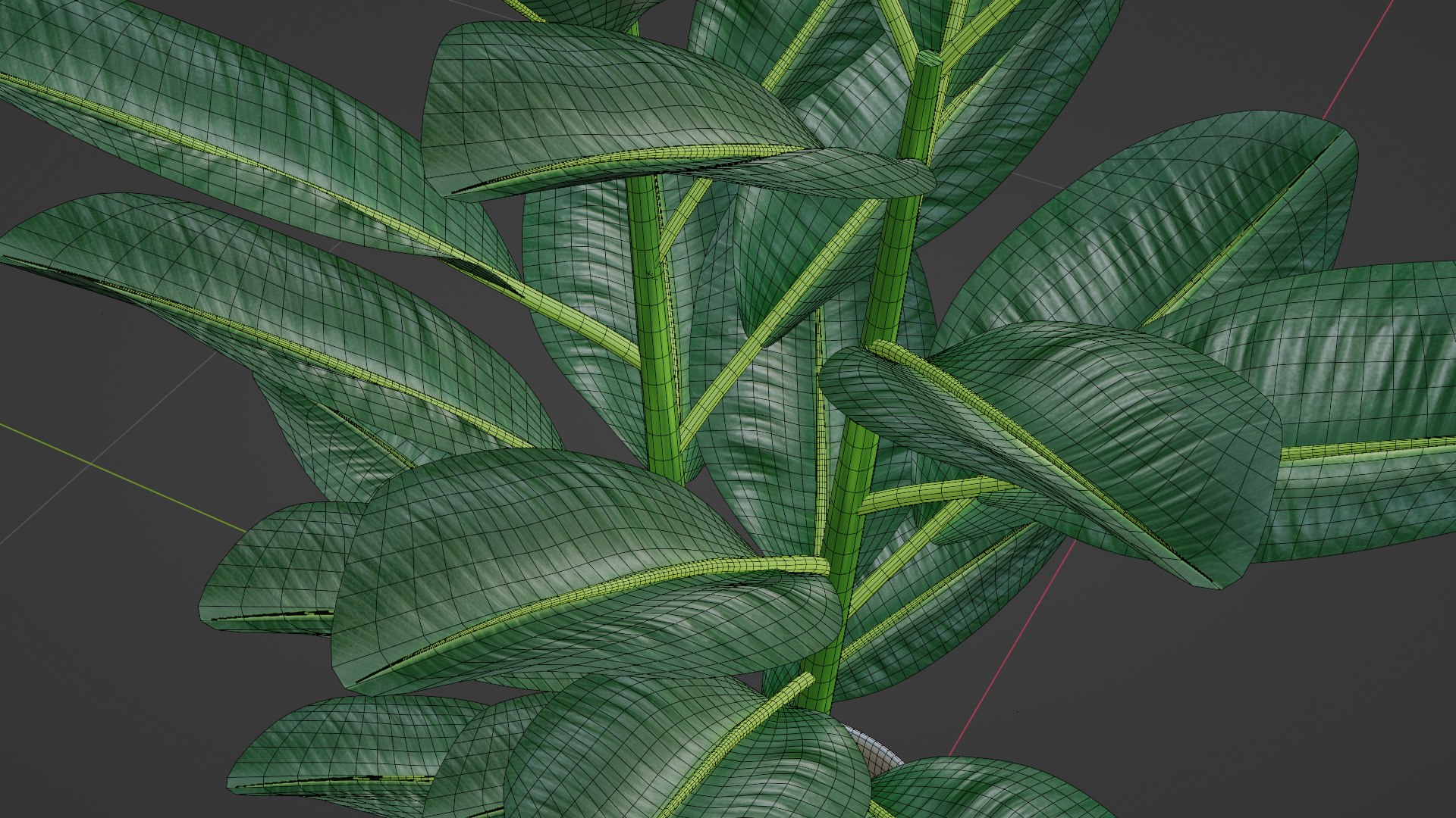 Rubber Plant Model - TurboSquid 2066198