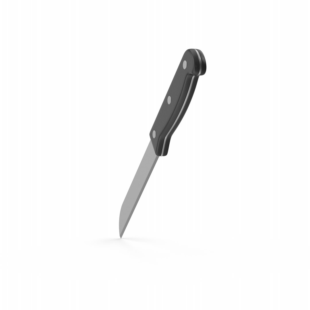 Small Kitchen Knife 3D model TurboSquid 1888811