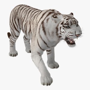 White Tiger Roar with Fur 3D Model