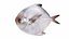 Underwater Animals Big Collection 34 in 1