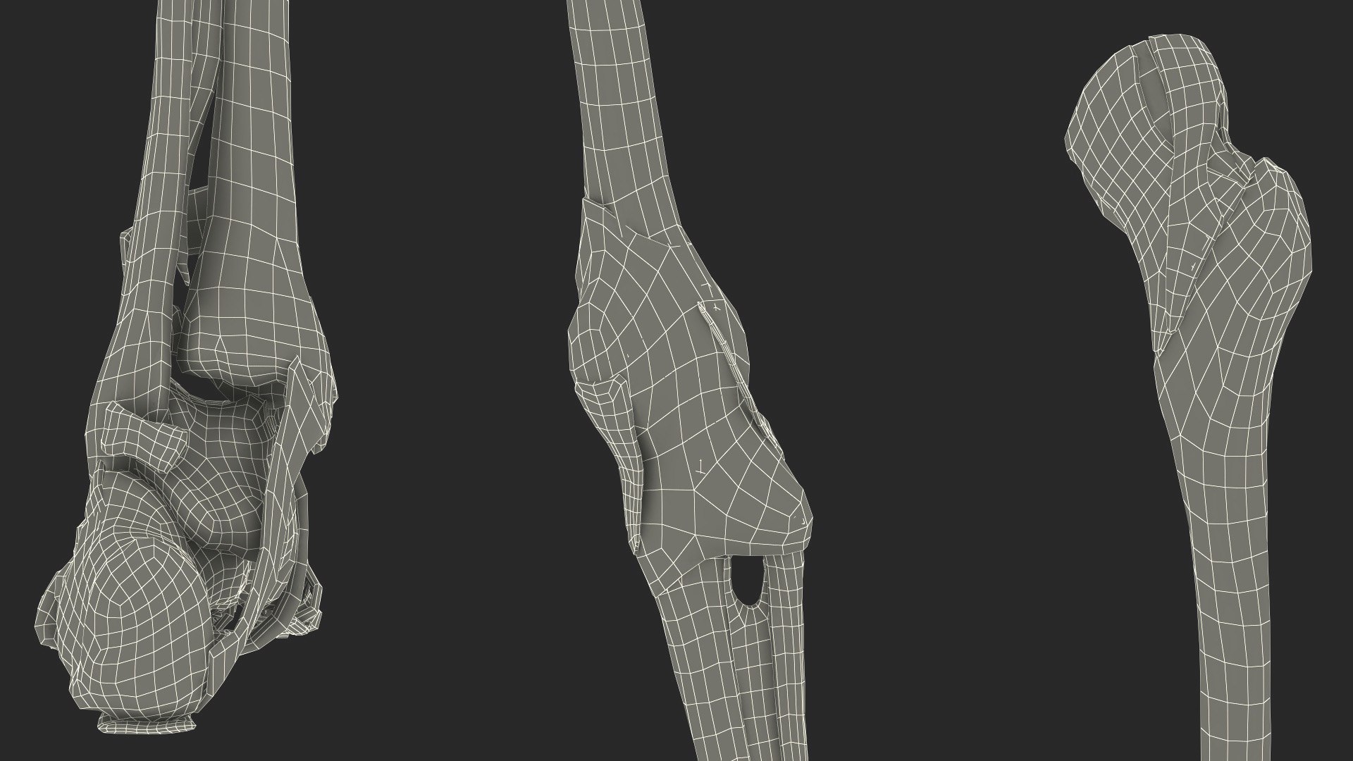 Leg Anatomy Asian Man model https://p.turbosquid.com/ts-thumb/Fa/DqxCkj/94/leg_anatomy_asian_man_031/jpg/1730649777/1920x1080/fit_q87/05b9fda475a1e6bec33095a78995c8bb7232f748/leg_anatomy_asian_man_031.jpg