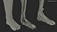 Anatomia da perna Homem asiático