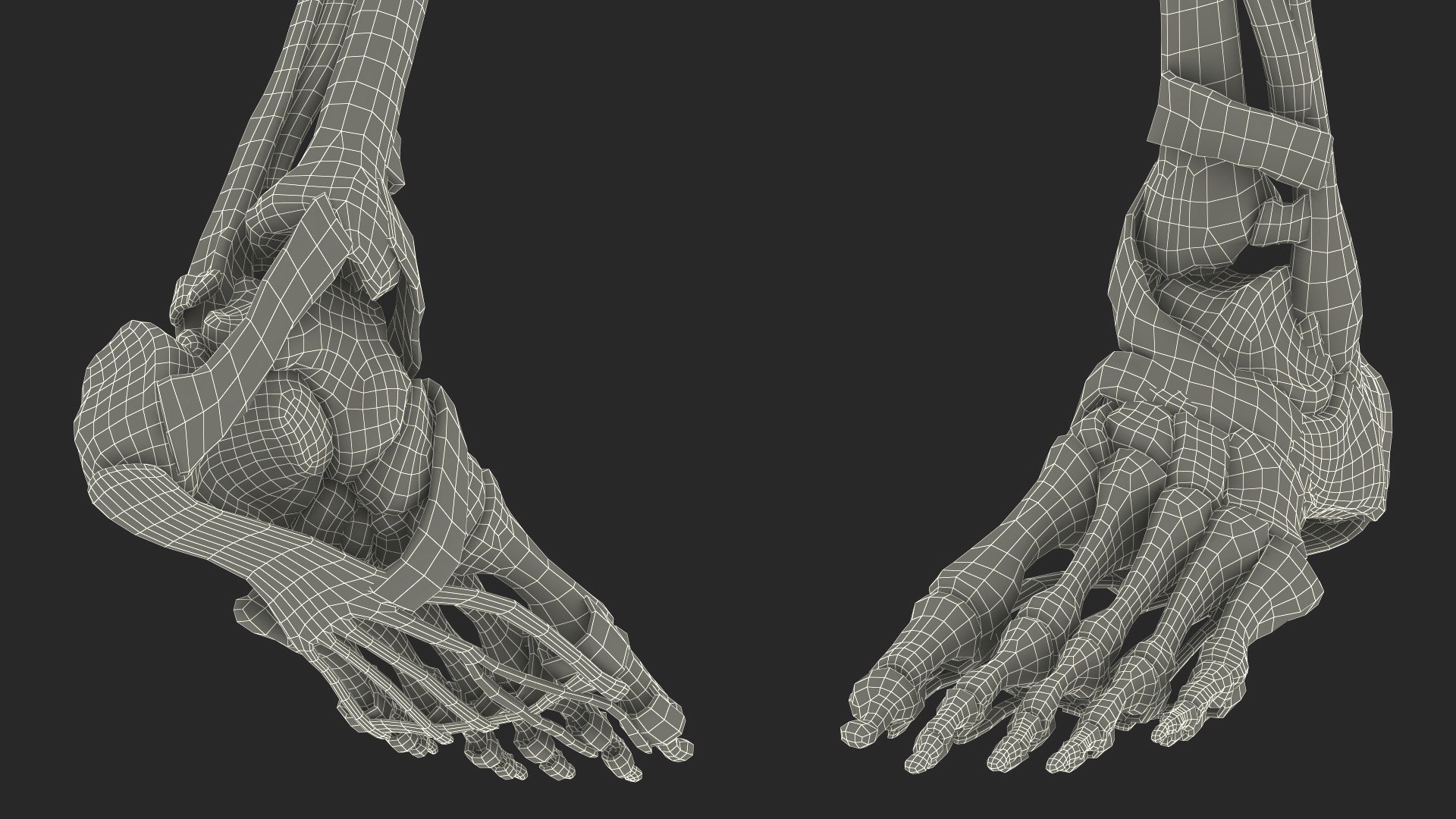 Leg Anatomy Asian Man model https://p.turbosquid.com/ts-thumb/Fa/DqxCkj/jS/leg_anatomy_asian_man_030/jpg/1730649773/1920x1080/fit_q87/5b3e5b4cc3e95cd131b3eccf2f1145cb5cebe77a/leg_anatomy_asian_man_030.jpg