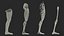 Anatomia da perna Homem asiático