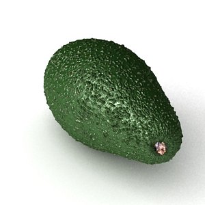 avocado 3d max