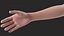 Arm Skin and Anatomy Asian Female 3D model