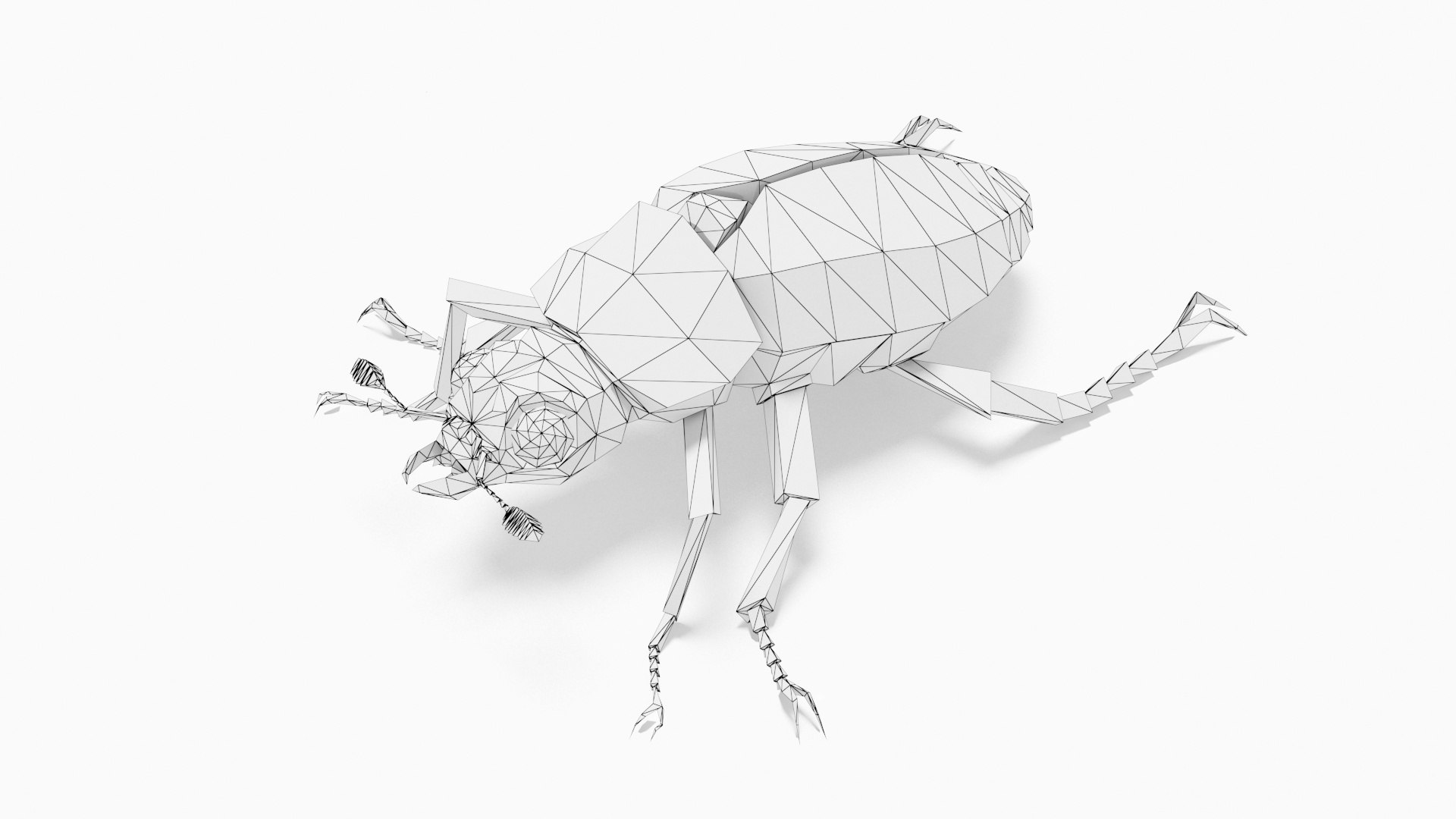 Bug 3D - TurboSquid 1941342
