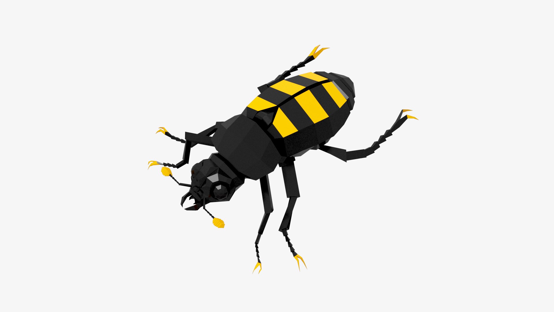 Bug 3D - TurboSquid 1941342